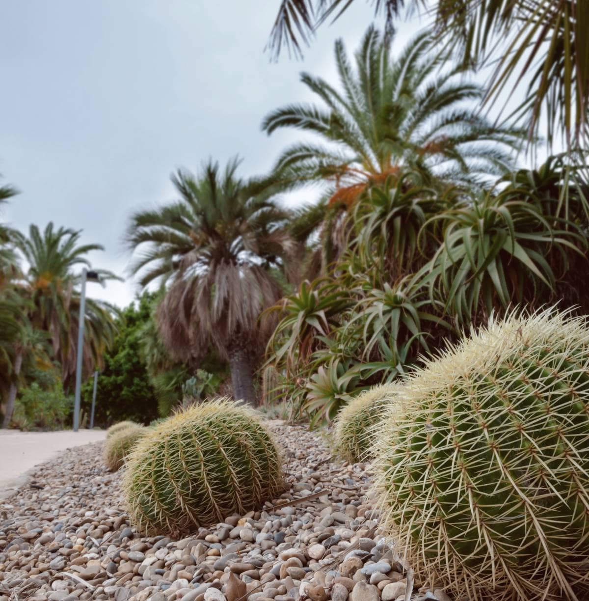 Naturaleza Parque en Marina del Prat Vermell | Vila Bonaplata 